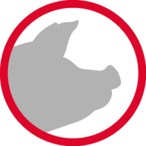 Cropped SZB Logo